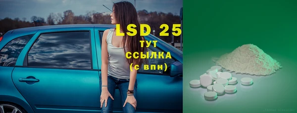 индика Белоозёрский