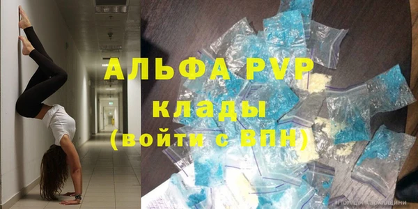 индика Белоозёрский