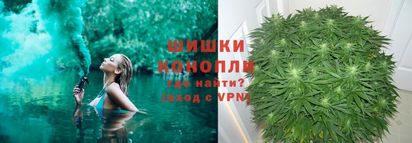 индика Белоозёрский