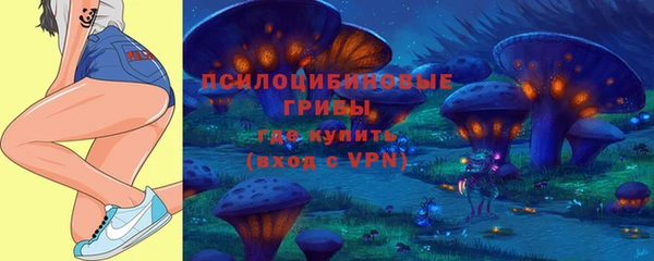 Альфа ПВП Сосновка