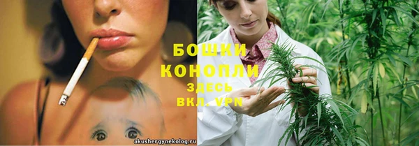 индика Белоозёрский