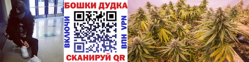 Каннабис индика Кореновск